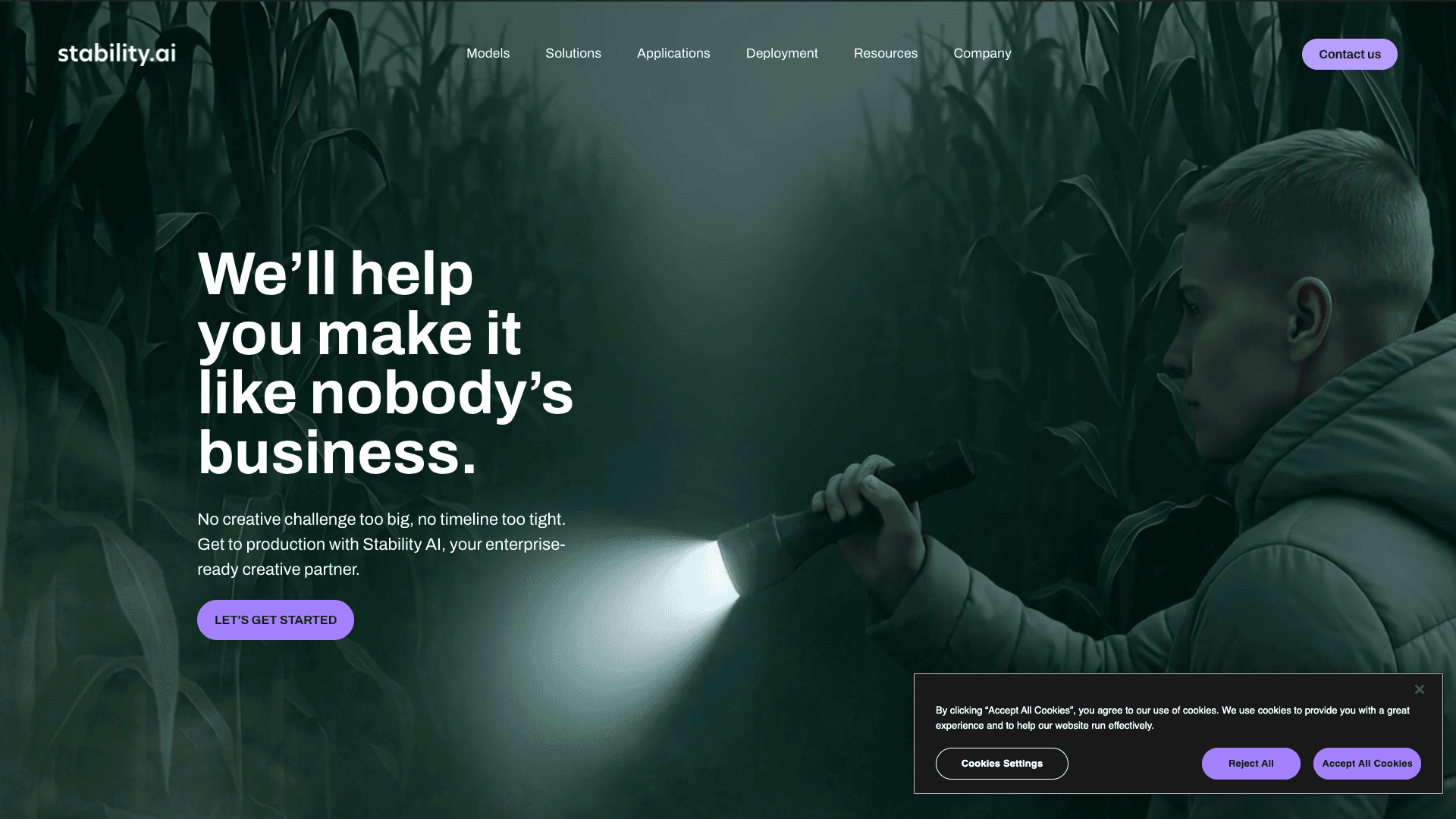 Screenshot of Stability AI interface