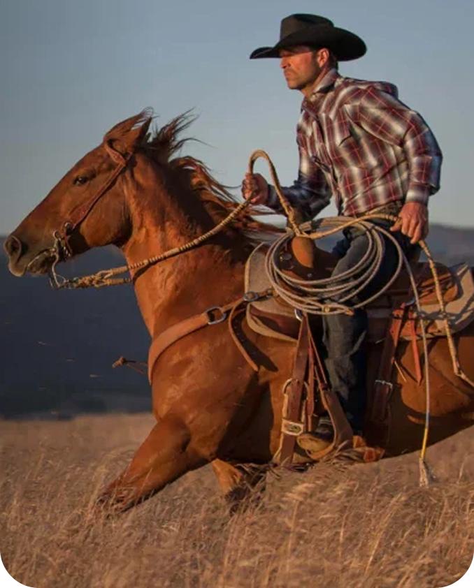 hatcountry primary background image